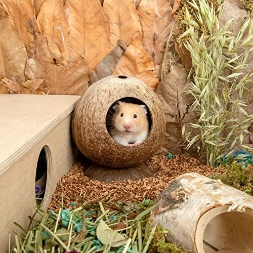 Eco-friendly coconut shell pet house interior and bedding setup