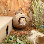 Eco-friendly coconut shell pet house interior and bedding setup