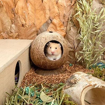 andwe Coconut Hut Hamster House Bed for Gerbils Mice Small Animal Cage Habitat Decor - Image 6