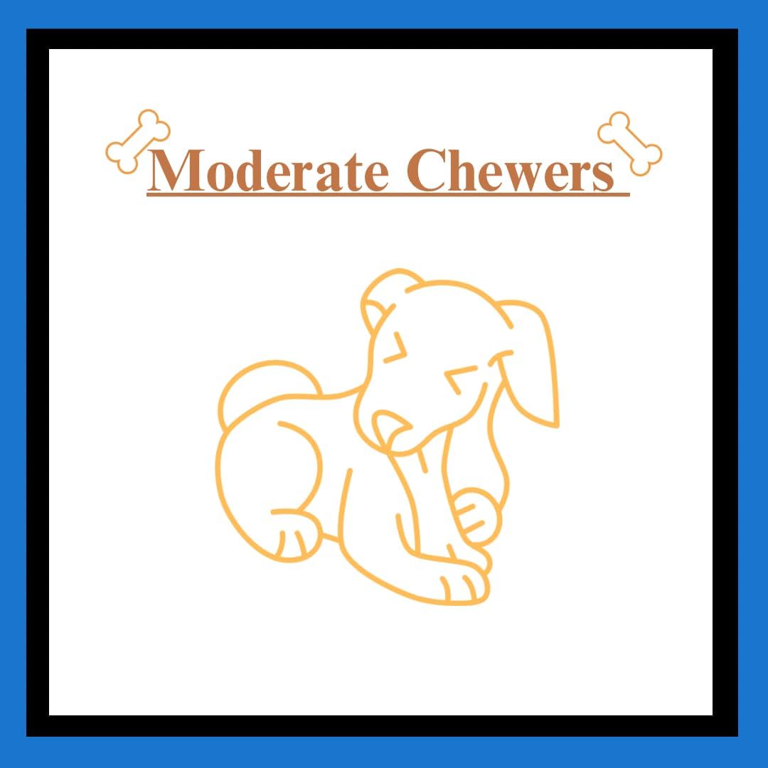Healthy canine dental chew chips for small medium and large dogs