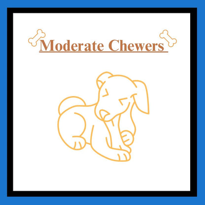 Healthy canine dental chew chips for small medium and large dogs