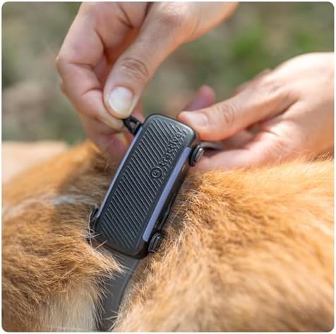 Tractive Dog 6 GPS tracker fabric clip back side view