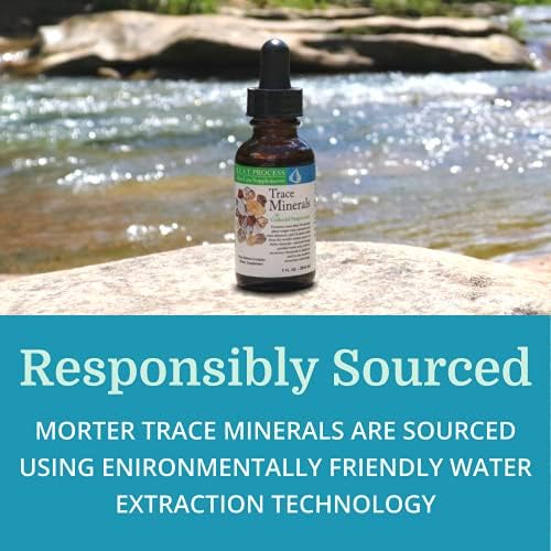 Morter HealthSystem Trace Minerals colloidal suspension brown glass bottle with convenient dropper cap