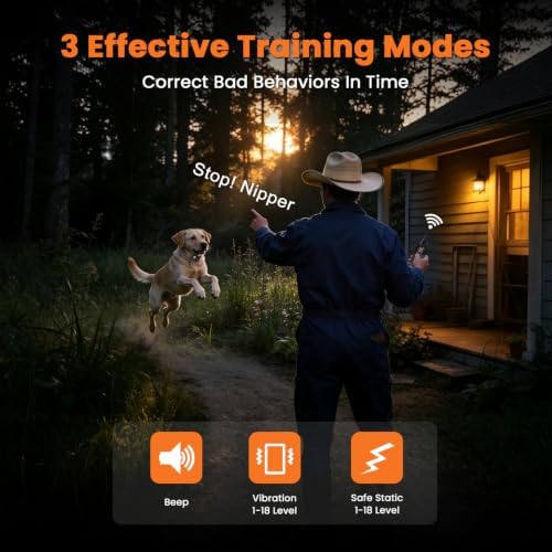 Aikko remote dog training collar with color LCD screen