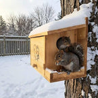 Extra Large Squirrel House 15.7" - Anti-Predator Nest Box with External Feeder, Carbonizedpine woodOutdoor Squirrel Shelter, 2-in-1 Backyard Wildlife Habitat for Tree or Fence Mount - Image 5