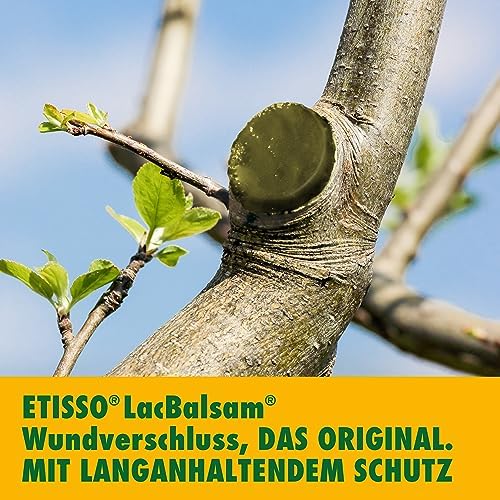 Close up view of the weather resistant cotton wax tree balm formulation for bark injuries.