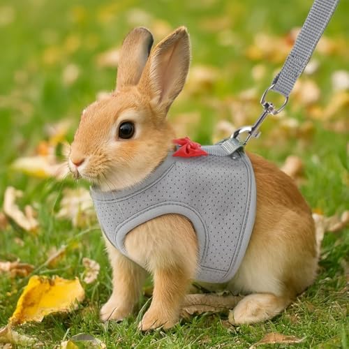 Packaging contents of the PSPORT rabbit harness set including one small vest and one lead