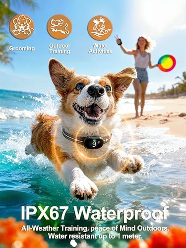 Veconix lightweight rechargeable e collar for five to thirty pound dogs side view