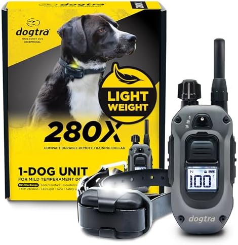 Dogtra 280X handheld transmitter showing LCD screen and central button