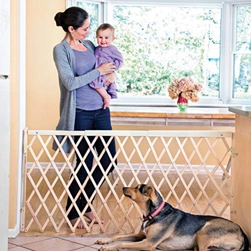 Evenflo expansion hardware mounted safety gate swinging open in an entryway