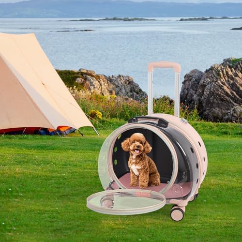 Premium pet capsule luggage showing removable shoulder strap attachment
