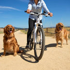 Hands free dog leash attached to bike frame
