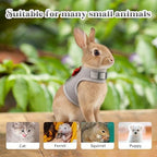 Aiitle ferret walking supplies displaying the matching lightweight grey lead attached to back D ring