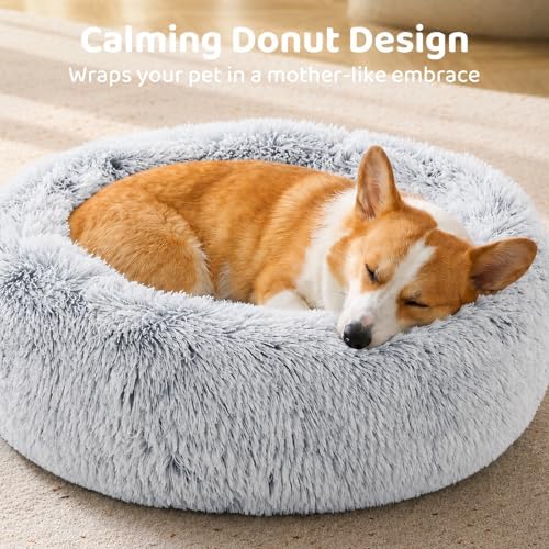 JOLLYVOGUE Small Dog Bed, Calming Soft Anti-Anxiety Donut Cat Bed, Washable Round Fluffy Cushion for Small and Medium Pets (20") - Image 3