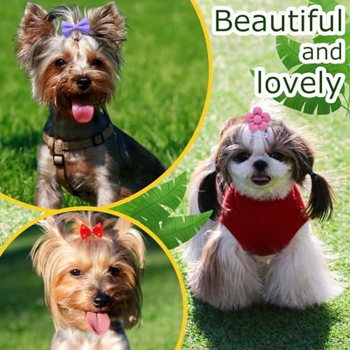 Variety pack of puppy hair accessories with crown embellishments