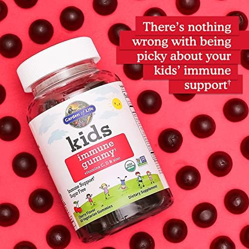 Sugar free children's immune support gummies sweetened with organic monk fruit