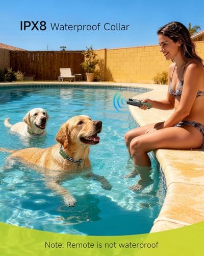 Jugbow imported pet training collar package components including dual nylon straps and dual charging cords