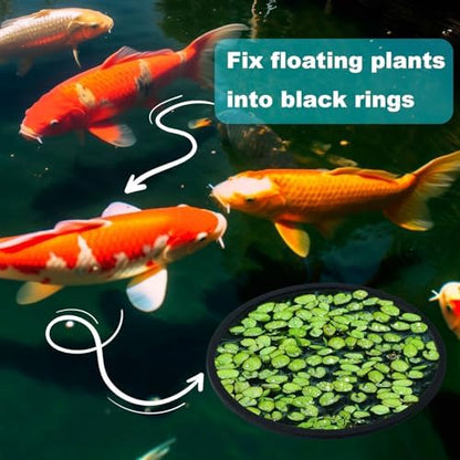Close up view of the durable and lightweight EVA foam material of OIIKI feeding rings.