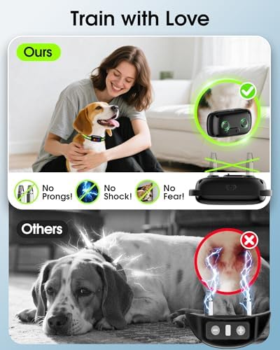 Humane dog training remote with safety lock feature next to the vibration receiver.