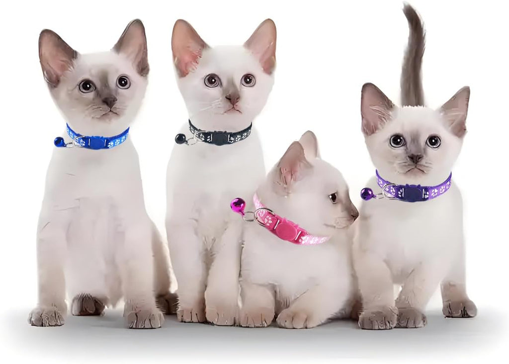 Side view of the premium textured nylon fabric on the red PSPORT kitty safety collar