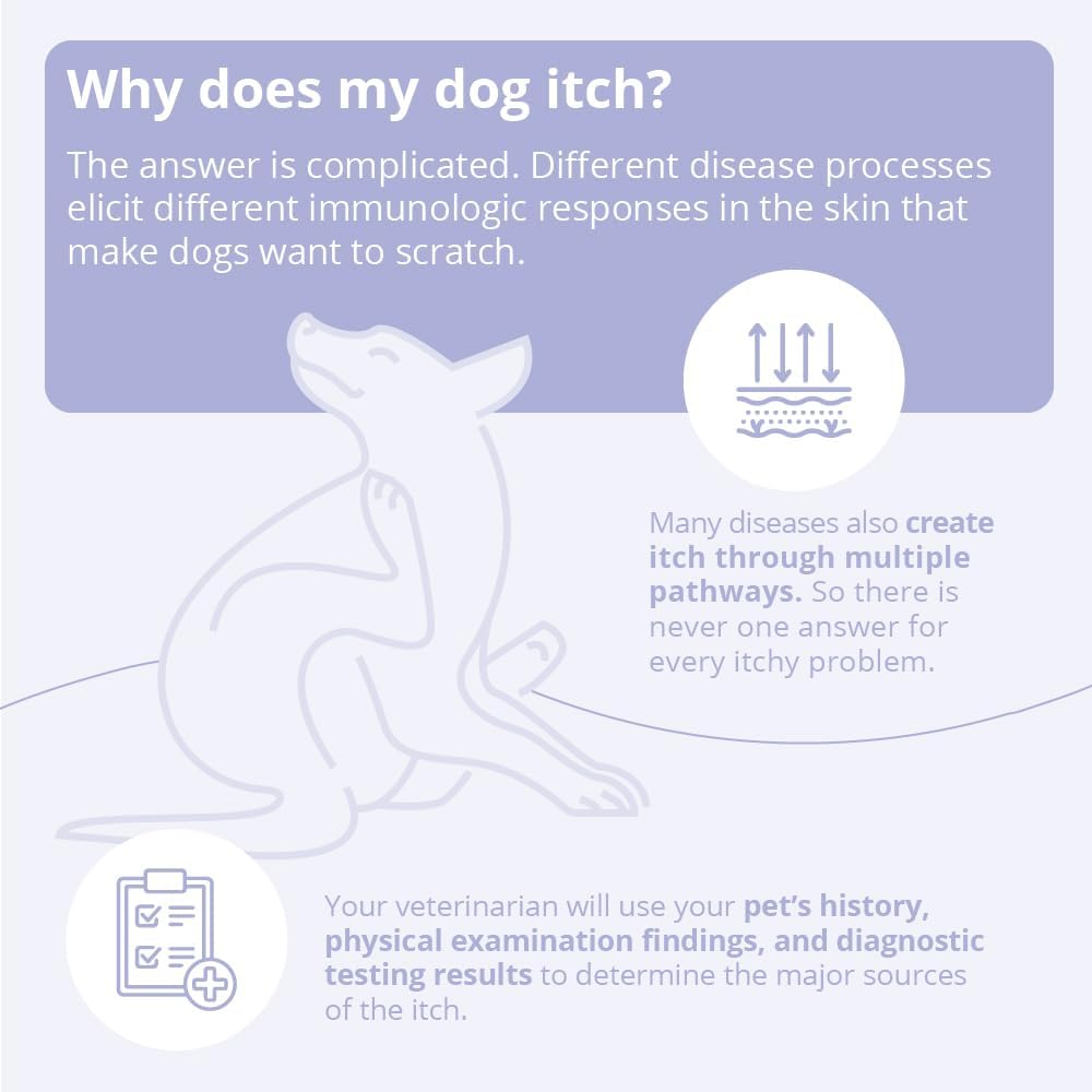 TrizCHLOR 4 Mousse foam application on pet fur