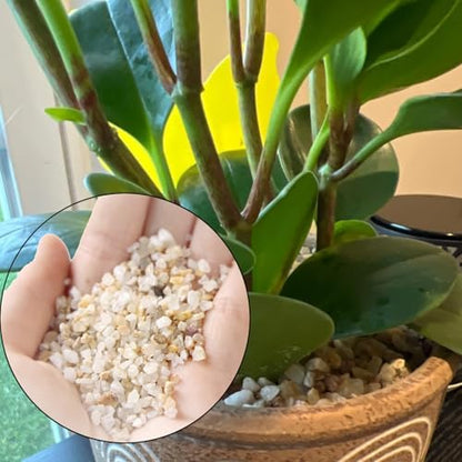 Natural quartz sand for aquarium substrate application