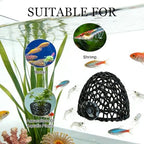 Close up view of the realistic coral design on the black fish hideaway