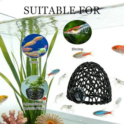 Close up view of the realistic coral design on the black fish hideaway