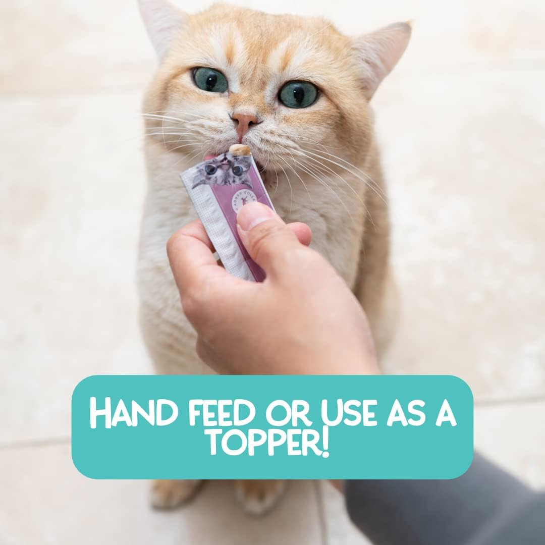 Human hand feeding cat with Love Nala squeeze tube