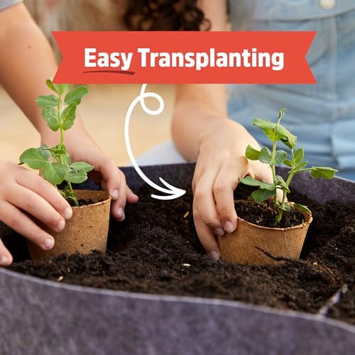 Back to the Roots educational plant biology kit displaying the easy step-by-step instructions for children.