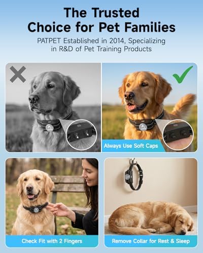 Patpet remote control safety lock feature