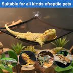 CIATBYYJ triangular reptile lounger set imported for Indian exotic pet care