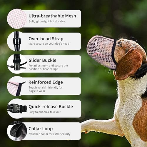 Joypaws dog muzzle showing buckle and collar loop attachment