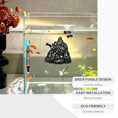 Elevated fish resting place inside a clean freshwater aquarium tank.
