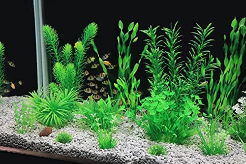Lush green artificial seaweed set inside a clean freshwater fish tank