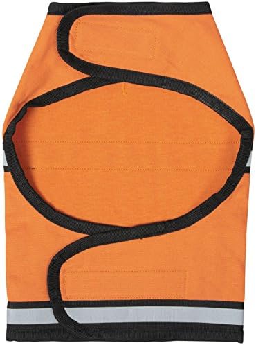 Dog wearing orange Insect Shield protective vest for tick and mosquito safety