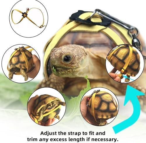 Hokable small pet outdoor training rope and safety harness assembly