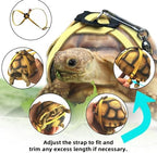 Hokable small pet outdoor training rope and safety harness assembly