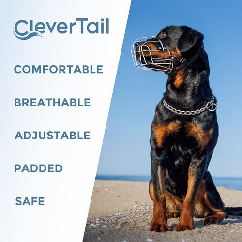 Large breed dog wearing secure metal basket muzzle