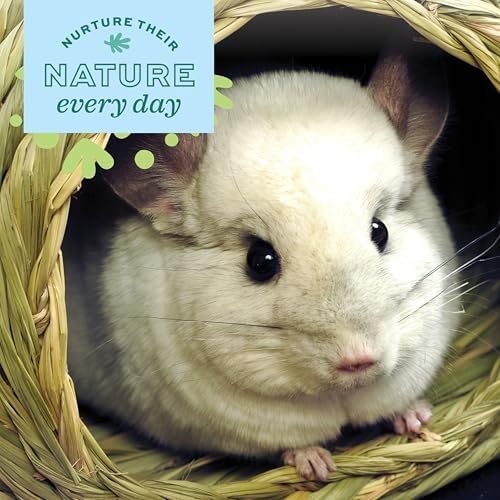 Large Timothy hay bunny house in pet enclosure