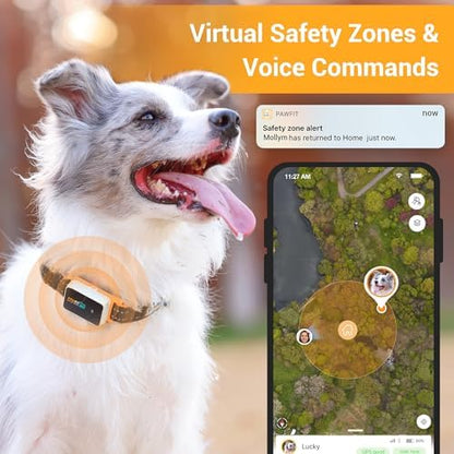 Pawfit 3 mobile app interface showing location map