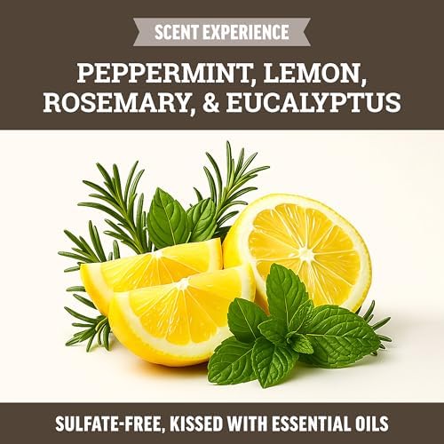 Lice Queen natural formula lice treatment bottles on white background
