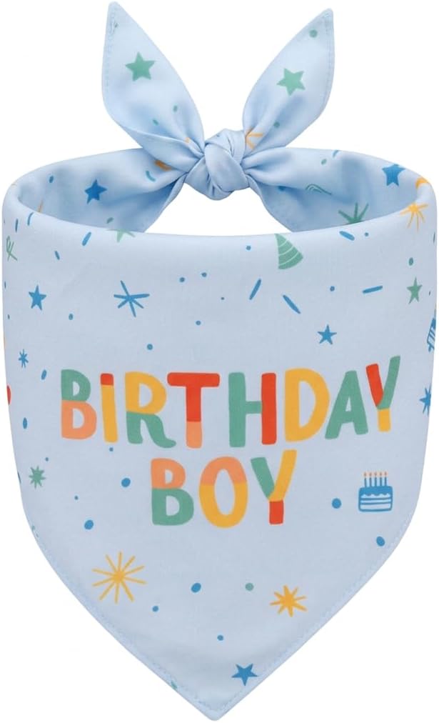 Yummipaws dog birthday bandana blue front view