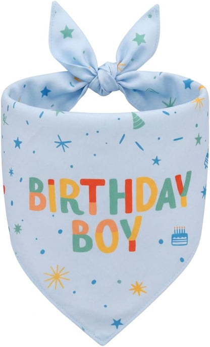 Yummipaws dog birthday bandana blue front view