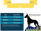 Close up of Hotlion no-pull nylon dog collar hardware