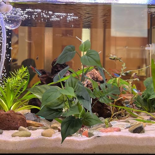 M2cbridge non toxic artificial foliage hiding spot for aquarium fish