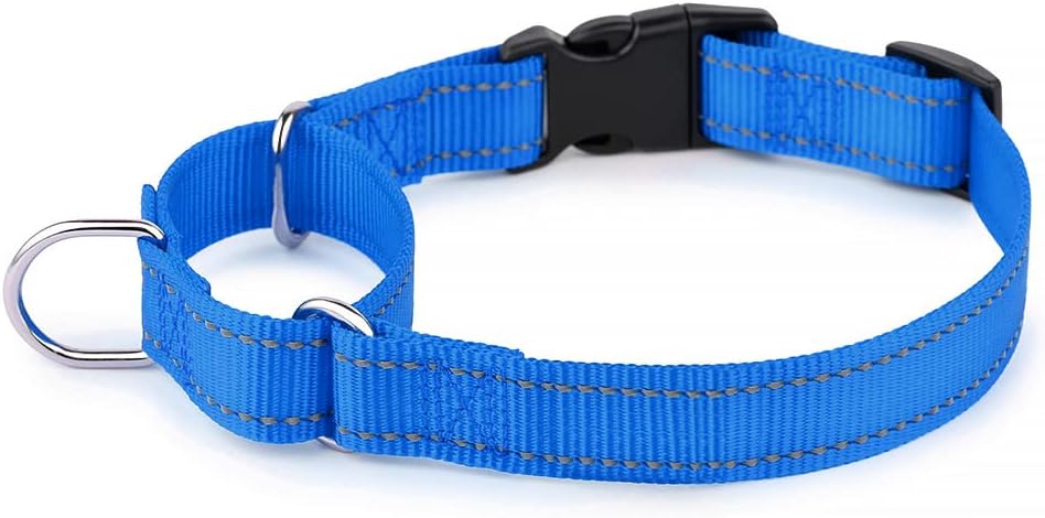 PLUTUS PET reflective training collar for medium dogs emphasizing safety stitching