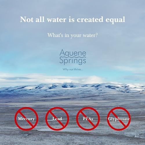 Aquene Springs pure geothermal water dispensing tap