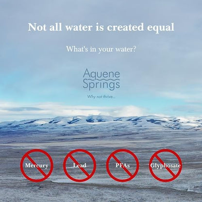 Aquene Springs pure geothermal water dispensing tap