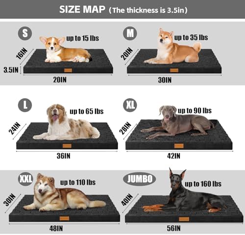 Patas Lague Orthopedic Dog Bed Large Sized Dog 36''X24'', Waterproof Soft Comfortable Egg Crate Foam Large Pet Beds Crate Mat with Removable Washable Cover and Nonskid Bottom, Black - Image 6